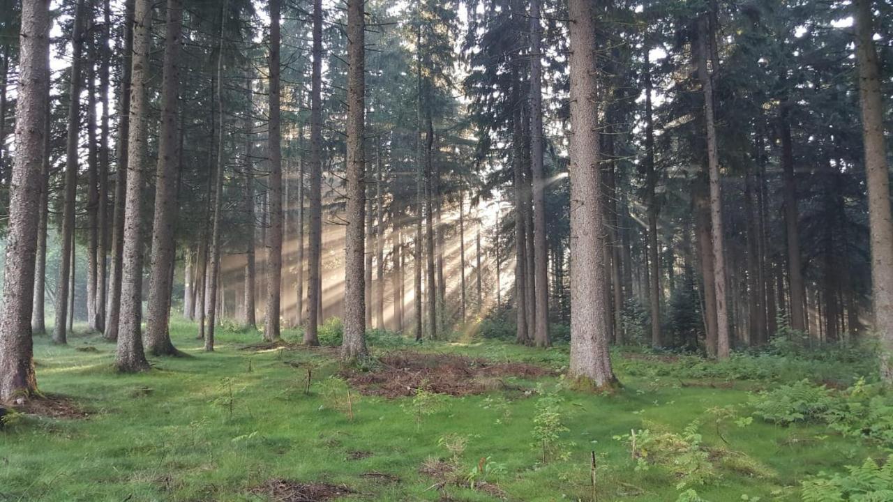 Kuckuckstraum Lejlighed Schönwalde Eksteriør billede